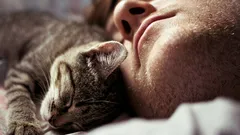 ただの習慣ではない：動物学者が解説する、猫が飼い主のそばで眠る理由